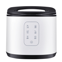 全自动洗菜机去农残食材净化商家用水果蔬菜洗碗消毒清洗机|白色