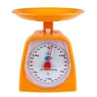 迷你家用厨房小秤弹簧小克称天平秤食物克数称克台秤老式盘称鸡柳|学习盘称3公斤