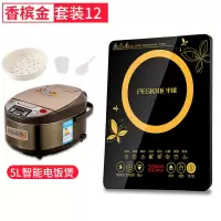 半球电磁炉 半球电磁炉家用炒菜一体节能小型小宿舍多功能电池炉|单机+电饭煲