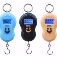 电子称手提秤便携高精度家用称重厨房秤50kg迷你弹簧秤行李快递秤|尊享牌50公斤/10克葫芦型