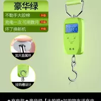 迷你手提称重器电子秤便携式家用厨房弹簧秤高精度可选充电快递称|凯丰充电豪华绿大胶棉