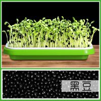 生豆芽罐盆家用发豆芽机种植桶芽苗菜育苗盘麦饭石绿豆黄豆全自动|[豆芽罐专用]黑豆两斤