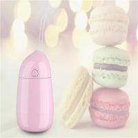 便携补水仪加湿器加湿车载迷你家用静音防漏|马卡龙款-粉色