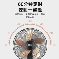 电风扇落地扇台扇16寸家用宿舍静音摇头定时节能省电