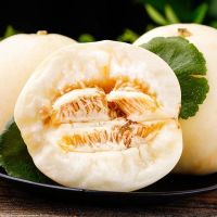 头茬陕西阎良新鲜甜瓜 蜜瓜香瓜 新鲜水果 精选5斤装
