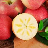 正宗新疆阿克苏冰糖心苹果 5斤装精选中果约10-12个 生鲜红富士 新鲜