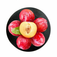 红李子 盒装500g