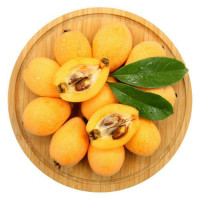 福建枇杷 5-8粒盒装400-450g