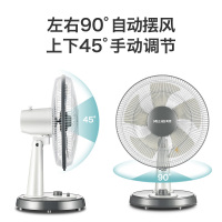 电风扇台式台扇落地扇立式风扇家用摇头静音学生寝室办公电扇