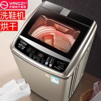 擦鞋机洗鞋机刷鞋神器家用热烘干懒人洗脱全自动一体机甩干|8.5公斤洗鞋机加强款烘干+底部毛刷