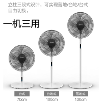 电风扇 家用落地扇智能遥控定时落地式省电家用立式电扇