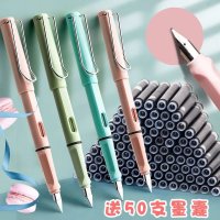 学生正姿钢笔套装矫正握笔姿势抽墨水换墨囊两用练字儿童正姿钢笔