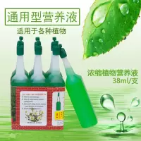 营养液植物通用花肥料富贵竹绿萝水培花卉多肉花盆栽营养液肥料