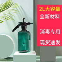 气压式浇花喷雾瓶多肉植物浇水壶家用小型浇花壶喷雾器喷壶 罗马柱蓝绿款