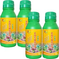 多肉植物营养液防徒长生根增色多肉维生素营养土花肥多肉通用土培 多肉浓缩共4瓶