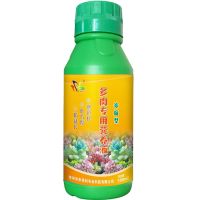 多肉植物营养液防徒长生根增色多肉维生素营养土花肥多肉通用土培 [体验装]多肉浓缩共1瓶