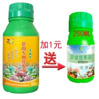 多肉植物营养液防徒长生根增色多肉维生素营养土花肥多肉通用土培 多肉浓缩1瓶加1元送通用250ML