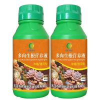 多肉植物营养液防徒长生根增色多肉维生素营养土花肥多肉通用土培 [生根优惠装]多肉生根2瓶
