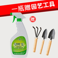 【500ML绿叶宝植物营养液】花肥免稀释通用型花卉叶面肥叶变绿 绿叶宝+园艺工具