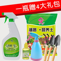 [500ML绿叶宝植物营养液]花肥免稀释通用型花卉叶面肥叶变绿 绿叶宝+4大礼