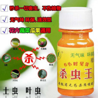 [送喷壶]杀虫剂花药除虫剂盆栽植物蔬菜果树蚧壳红蜘蛛小黑飞虫药 1瓶杀虫剂[不送喷壶]