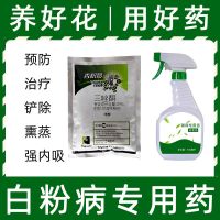 多菌菌灵剂通用花药白粉病百菌清花卉药剂黑褐斑病多肉多菌灵 白粉特效药1包100克+专用喷壶