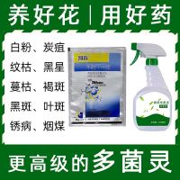 多菌菌灵剂通用花药白粉病百菌清花卉药剂黑褐斑病多肉多菌灵 通用杀菌药1包100克+专用喷壶