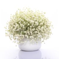 满天星花种子四季易种易活花卉室内外阳台盆栽花种子 白色满天星[关注店铺送花种子] 1000粒+肥+生根粉