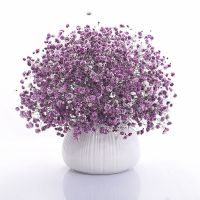 满天星花种子四季易种易活花卉室内外阳台盆 紫色满天星[关注店铺送花种子] 1000粒+盆+肥+生根粉+营养土