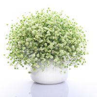 满天星花种子四季易种易活花卉室内外阳台盆栽花种子 绿色满天星[关注店铺送花种子] 1000粒[送肥]