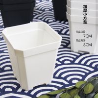 加厚款多肉花卉塑料花盆大小黑白方盆7/10cm正方形扦插育苗叶插盆 白色方盆3个7*8cm[加厚]