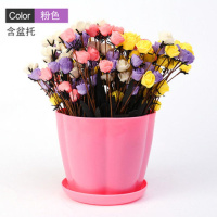 塑料花盆绿萝圆形特大号吊兰塑料个性加厚加仑家用花盆带托盘 粉色花瓣盆 [6个]大号口径约16厘米