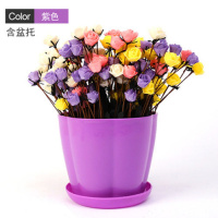 塑料花盆绿萝圆形特大号吊兰塑料个性加厚加仑家用花盆带托盘 紫色花瓣盆 [5个]中号口径约13厘米