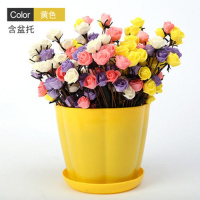 塑料花盆绿萝圆形特大号吊兰塑料个性加厚加仑家用花盆带托盘 黄色花瓣盆 [4个]特大号口径约19.5厘米