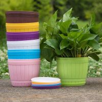 阳台办公桌简约圆形木桶花盆塑料环保树脂花盆多肉植物花盆送托盘 混色大号[上口径约17厘米] [4个盆]颜色随机