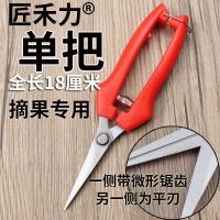 修枝剪子葡萄摘果剪 园林果树剪刀粗枝花剪 省力树枝修花园艺剪刀 匠禾力摘果专用