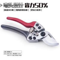 果树剪刀树枝修枝剪园艺剪修花工具疏果修果树果园园林修剪粗枝剪 奥斯曼（V6）