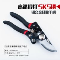 果树剪刀树枝修枝剪园艺剪修花工具疏果修果树果园园林修剪粗枝剪 奥斯曼（V10）