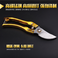 果树剪刀树枝修枝剪园艺剪修花工具疏果修果树果园园林修剪粗枝剪 土豪金整枝剪