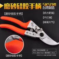 果树剪刀树枝修枝剪园艺剪修花工具疏果修果树果园园林修剪粗枝剪 卉林V8(磨砂手柄新款)
