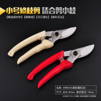 果树剪刀树枝修枝剪园艺剪修花工具疏果修果树果园园林修剪粗枝剪 卉林266