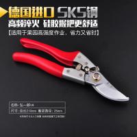 果树剪刀树枝修枝剪园艺剪修花工具疏果修果树果园园林修剪粗枝剪 德国进口SK5(弘一郎A8)