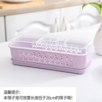 筷子筒筷子笼筷子盒架桶塑料吸管勺子刀叉带盖沥水托餐具收纳家用 镂空北欧紫 1个筷子盒[10双筷子]