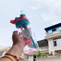 儿童吸管杯学饮杯男女宝宝水壶幼儿园防摔杯子小学生水杯便携杯子 粉色热气球(带锁扣) 单杯