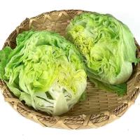 菜名堂 圆生菜 500g