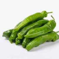 菜名堂 青尖椒 500g