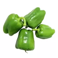 菜名堂 青菜椒 500g