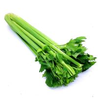 菜名堂 芹菜 500g