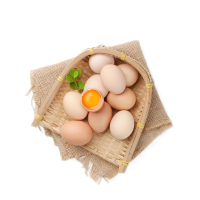 兴昌 土鲜鸡蛋杂粮喂养笨鸡蛋草鸡蛋散养自养新鲜谷物蛋柴鸡蛋笨鸡蛋20枚简装