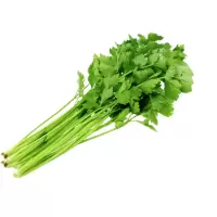 松霖甄选 芹菜约550g
